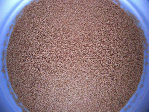 Image source: http://commons.wikimedia.org/wiki/File:Dry_yeast.jpg (PUBLIC DOMAIN)