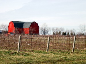 Photo By Craig Hatfield (Flickr: Red Barn) [CC-BY-2.0 (http://creativecommons.org/licenses/by/2.0)], via Wikimedia Commons