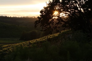 Sunset at Airlie Winery in Oregon. Photo still from American Wine Story.