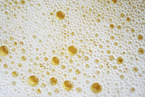 Photo By Quinn Dombrowski (originally posted to Flickr as Champagne bubbles) [CC BY-SA 2.0 (http://creativecommons.org/licenses/by-sa/2.0)], via Wikimedia Commons