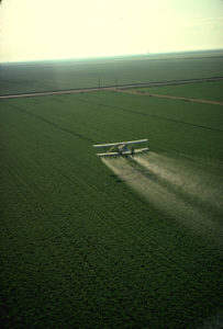 Photo courtesy the United States Department of Agriculture (Public Domain)